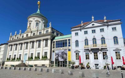 Potsdam Museum: Sommerferienprogramm